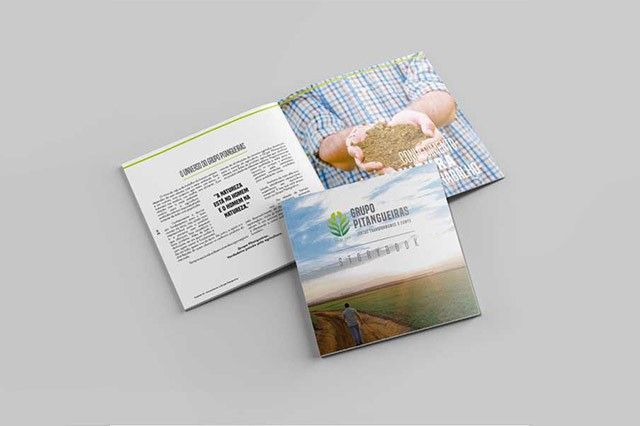 grupo pitangueiras storybook